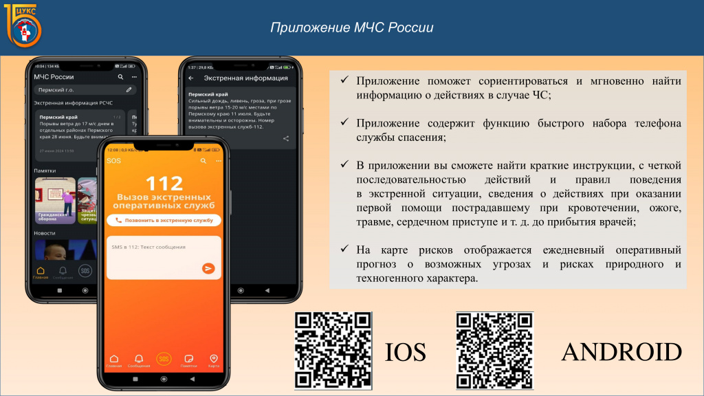 Приложение МЧС России(1).jpg